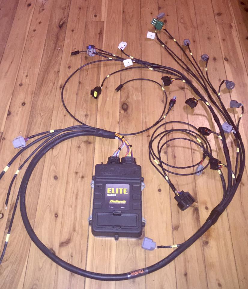 3sge Beams engine harness... - ProWire Performance Wiring