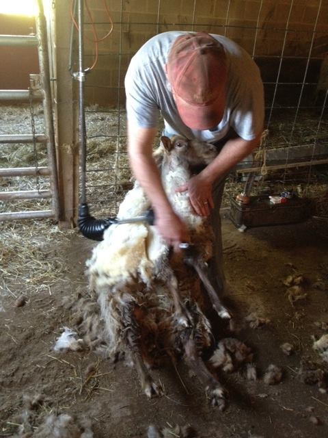 Irish Ridge Farm B&E