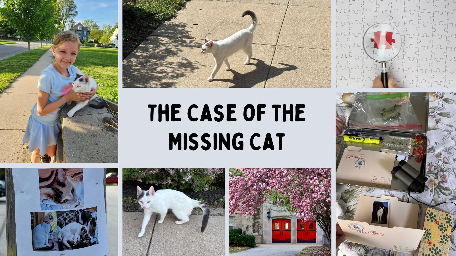 GraceDesMoines - The Case of the Missing Cat, Solved Near Grace If you ...