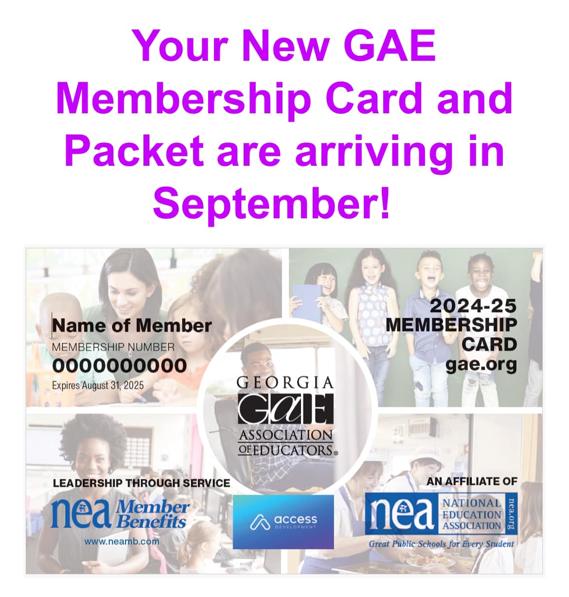 Georgia - Are you a new GAE member? Have you just joined? Get ready for ...