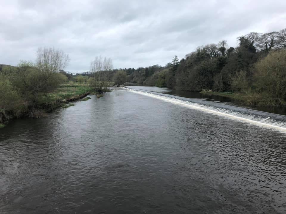Slane Bridge Anglers