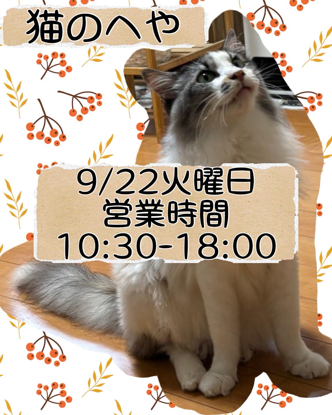 猫のへや | Kiryu-shi Gunma