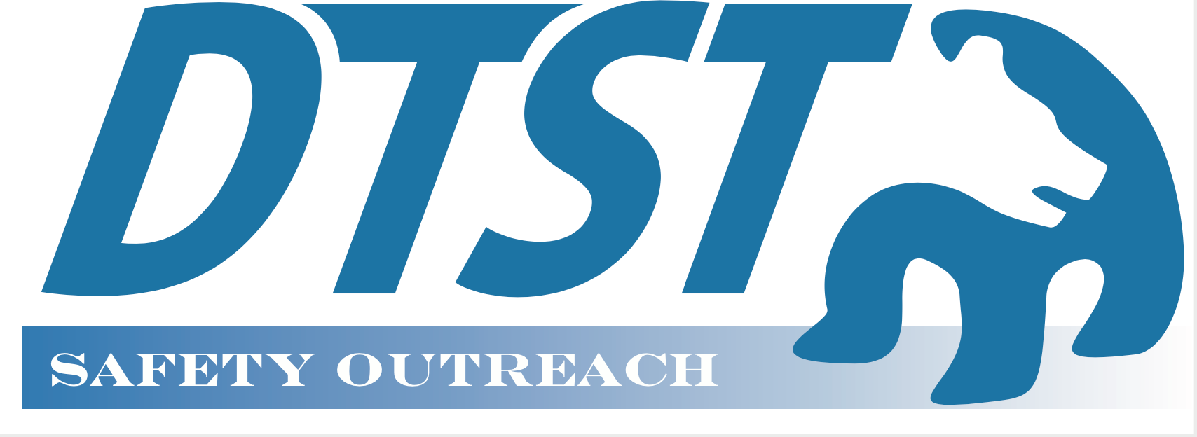 DTST Safety Outreach LLC