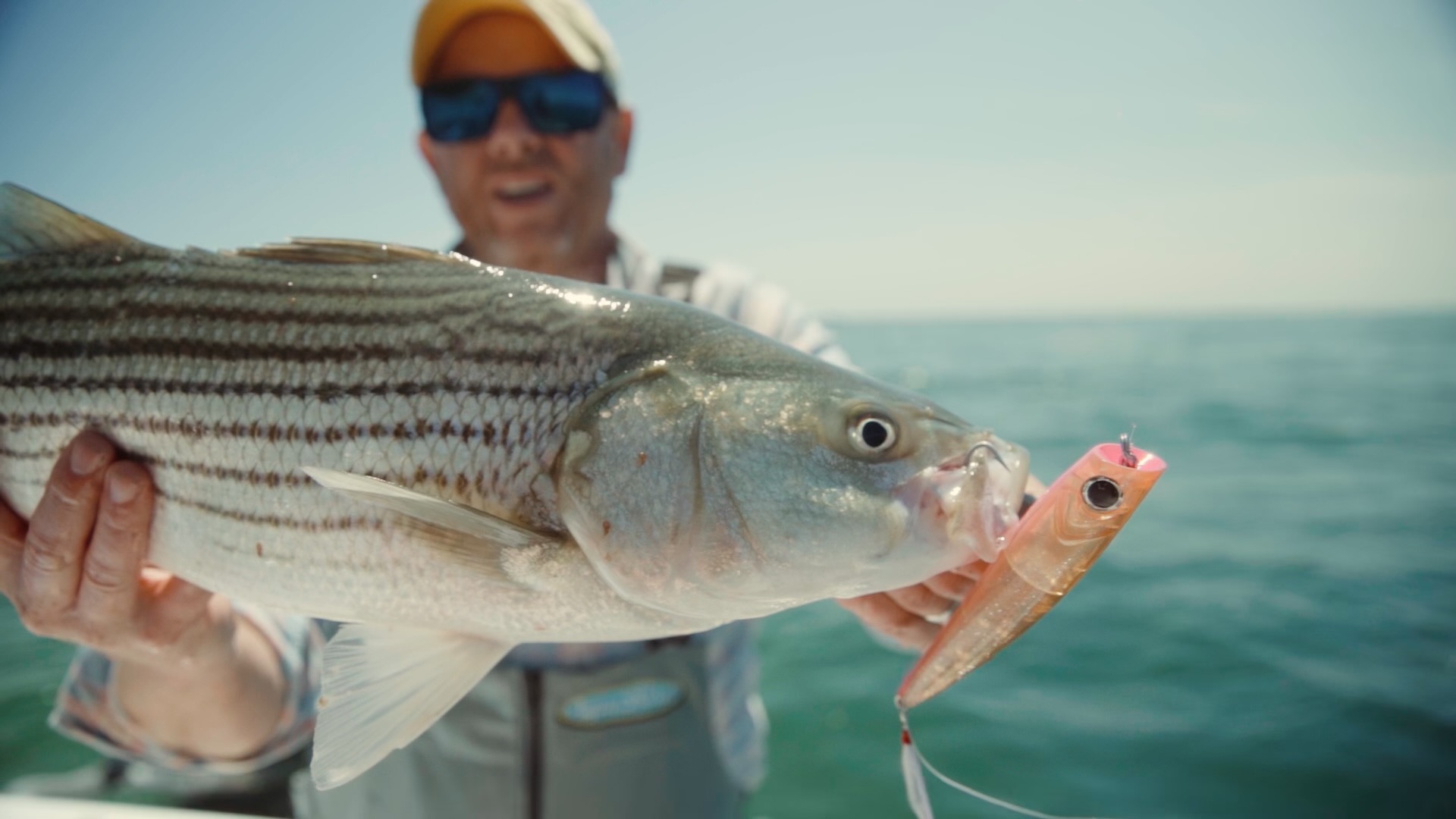 digital fishing pole Reel Cool Dady Fly Walleye Fishing SVG PNG Cutting Files – creativeusarts Model:6.3:1 LH 1 piece construction Reel 20x Floating Minnow Blanks Multi-blade Knife