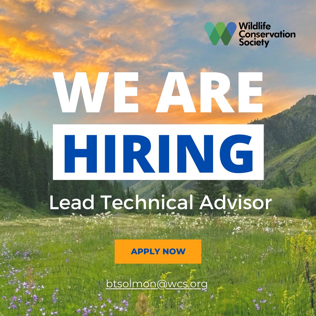 Wildlife - 🌱 We're Hiring! 🌱 WCS Mongolia is seeking a passionate and ...