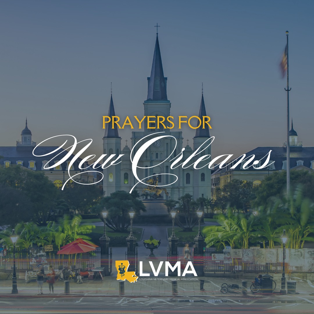Louisiana Veterinary Medical Association - LVMA - It's your lucky day ...