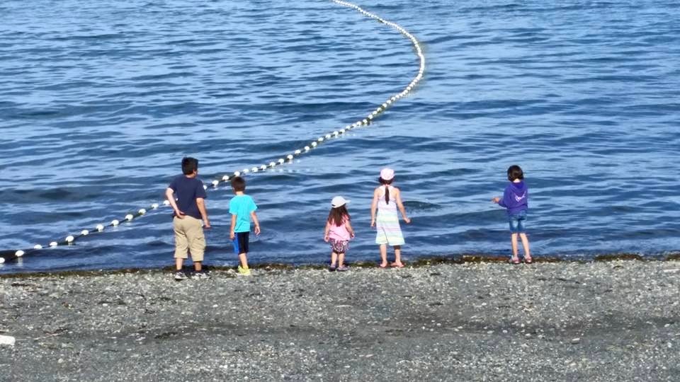 Greek school Victoria-Nanaimo - Home