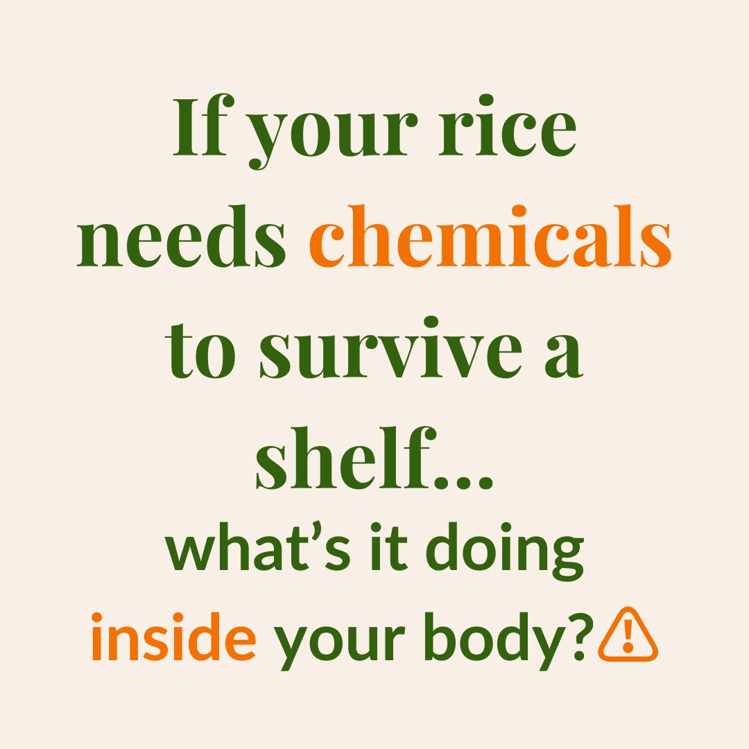 Cache River Rice | Hickory Ridge AR