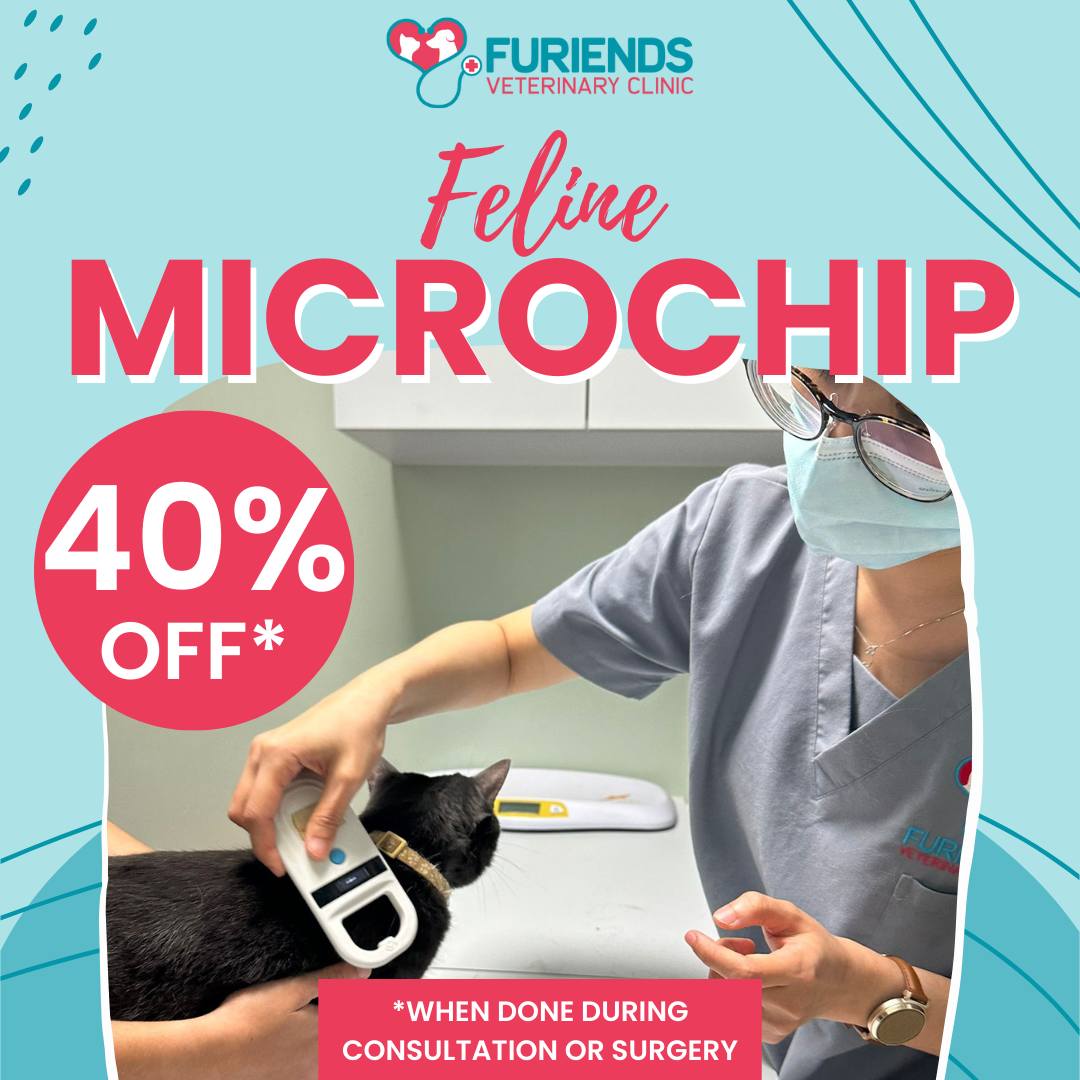 🚨 Final Call! 🚨 Our... - Furiends Veterinary Clinic | Facebook