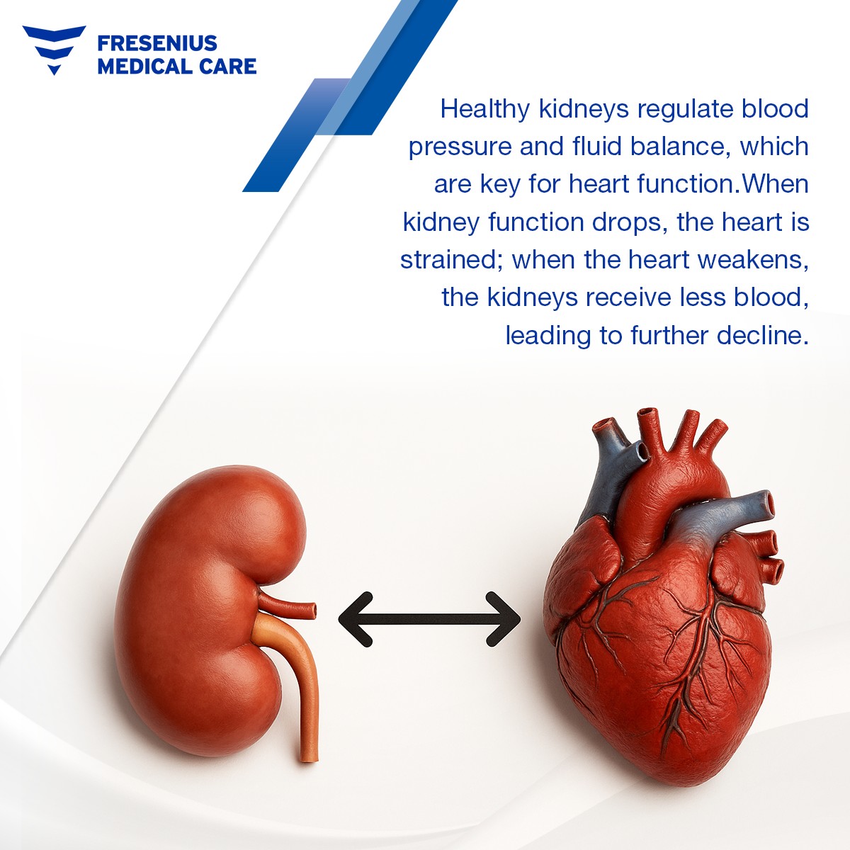 Photo inspiration: Fresh Look at Fresenius Medical Care Singapore Malaysia
