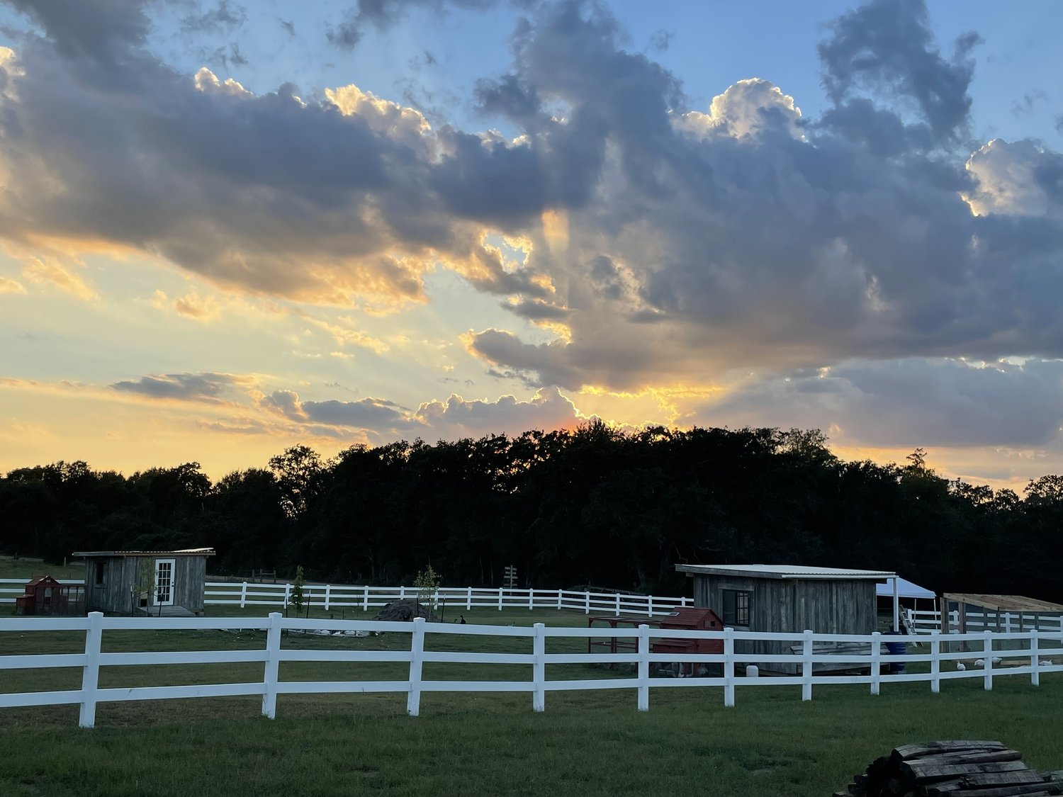 Milk & Honey Ranch | Burton TX