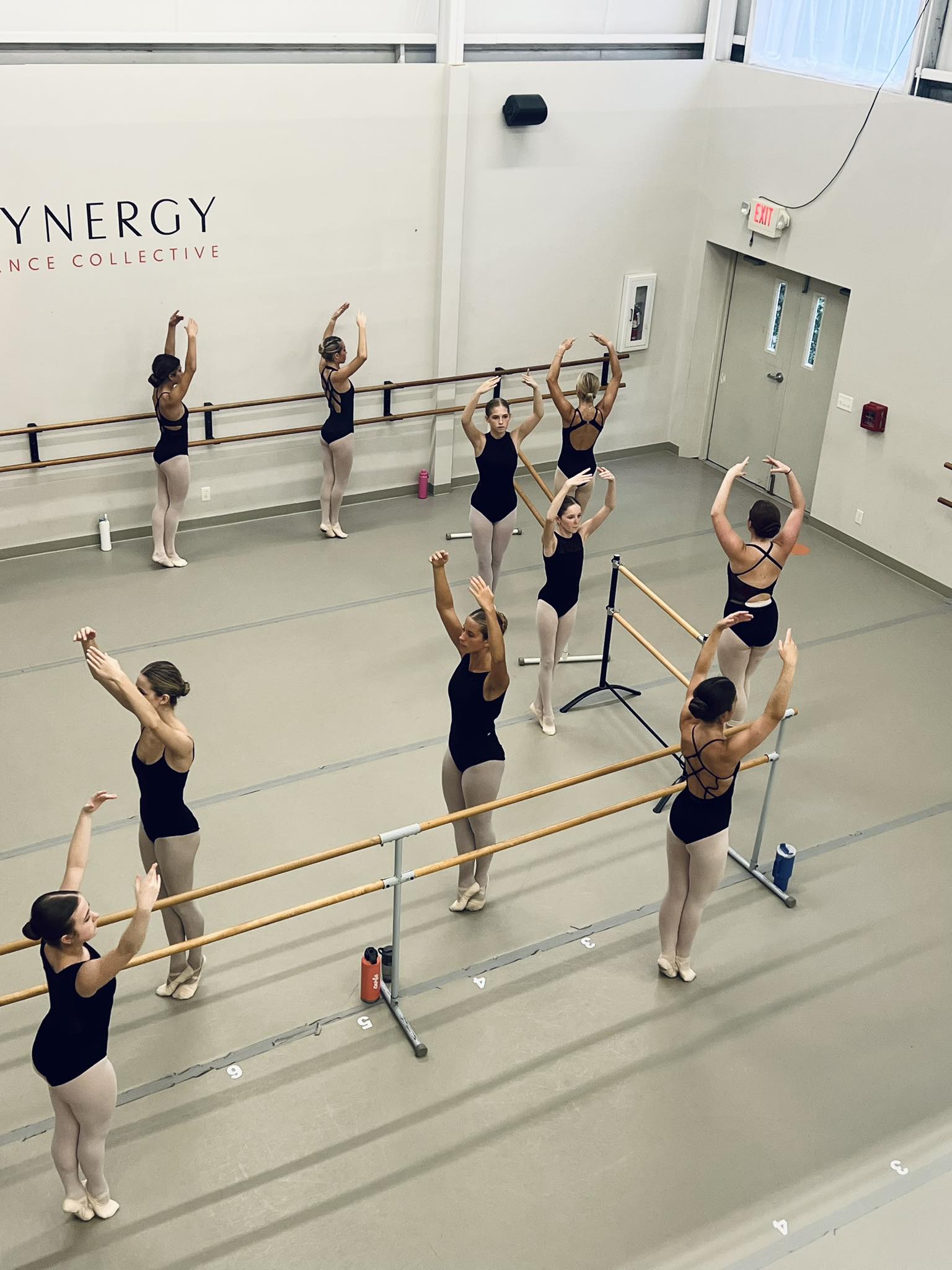 Synergy - In the world of ballet, every challenge is just another ...