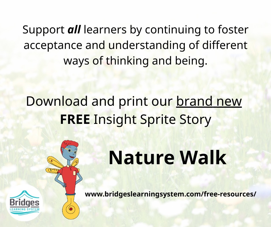 Bridges Learning System | Portland OR