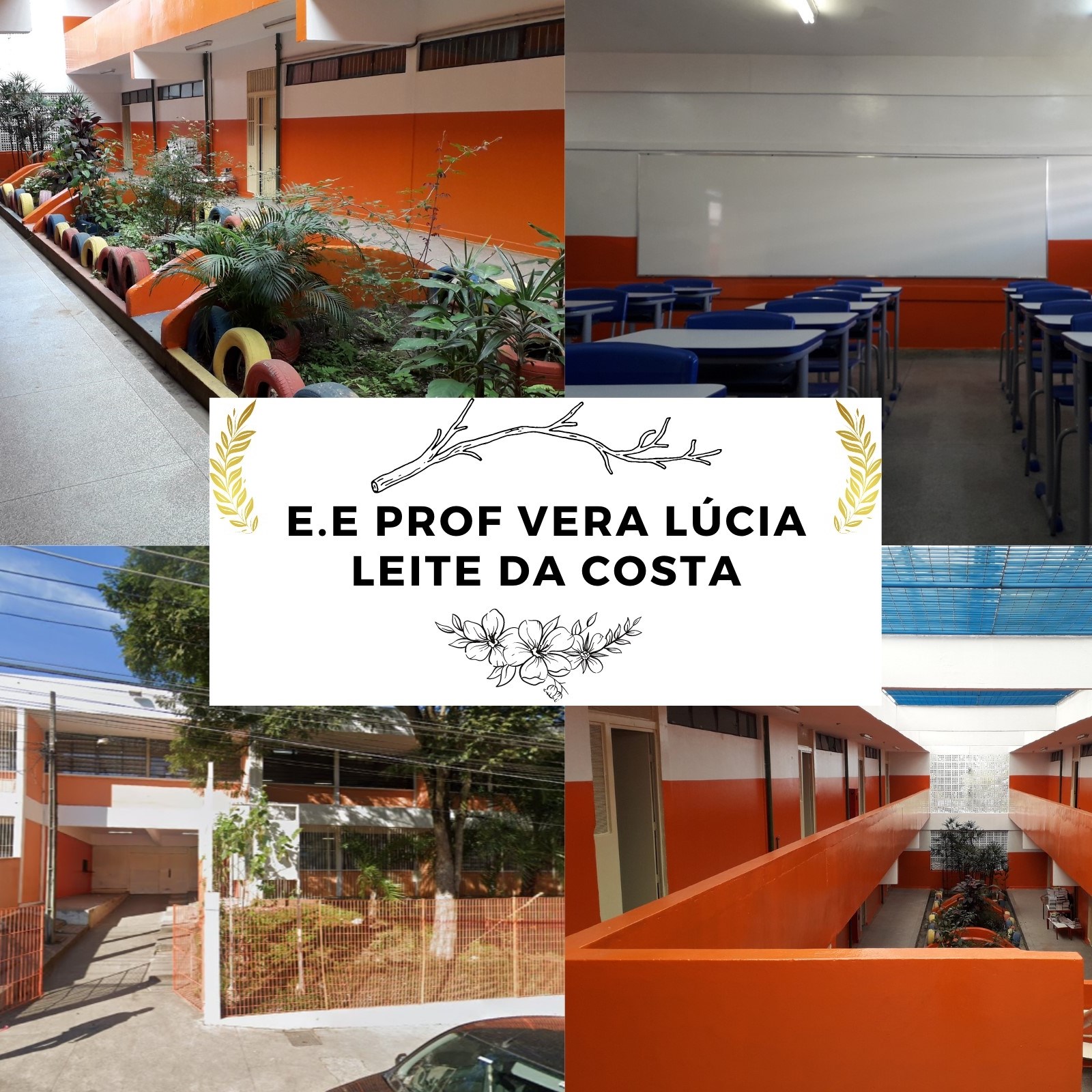 E.E Vera Lucia Leite Da Costa