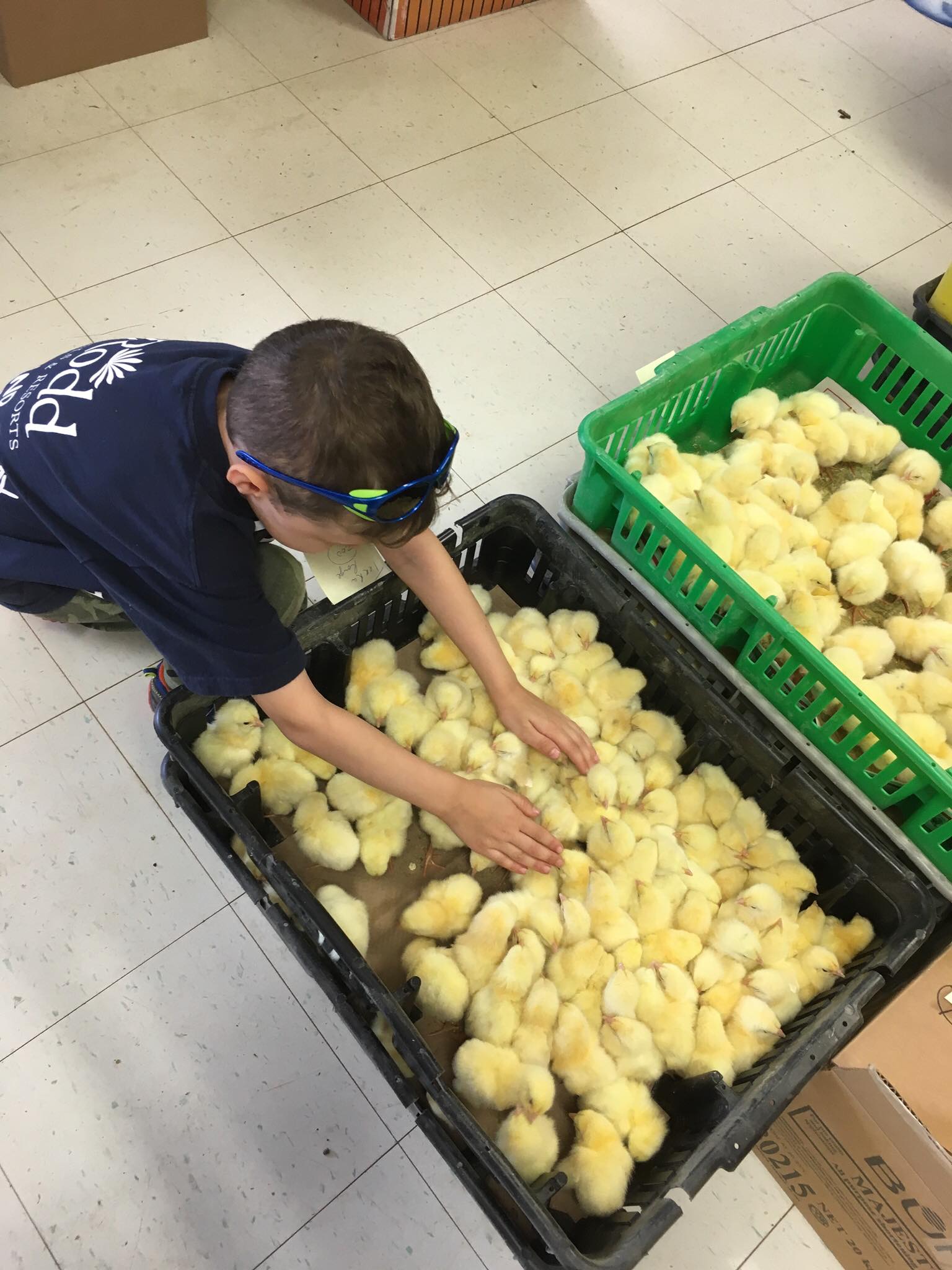 Terre Rouge Farm | Charlottetown PE
