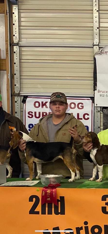Locklear beagles