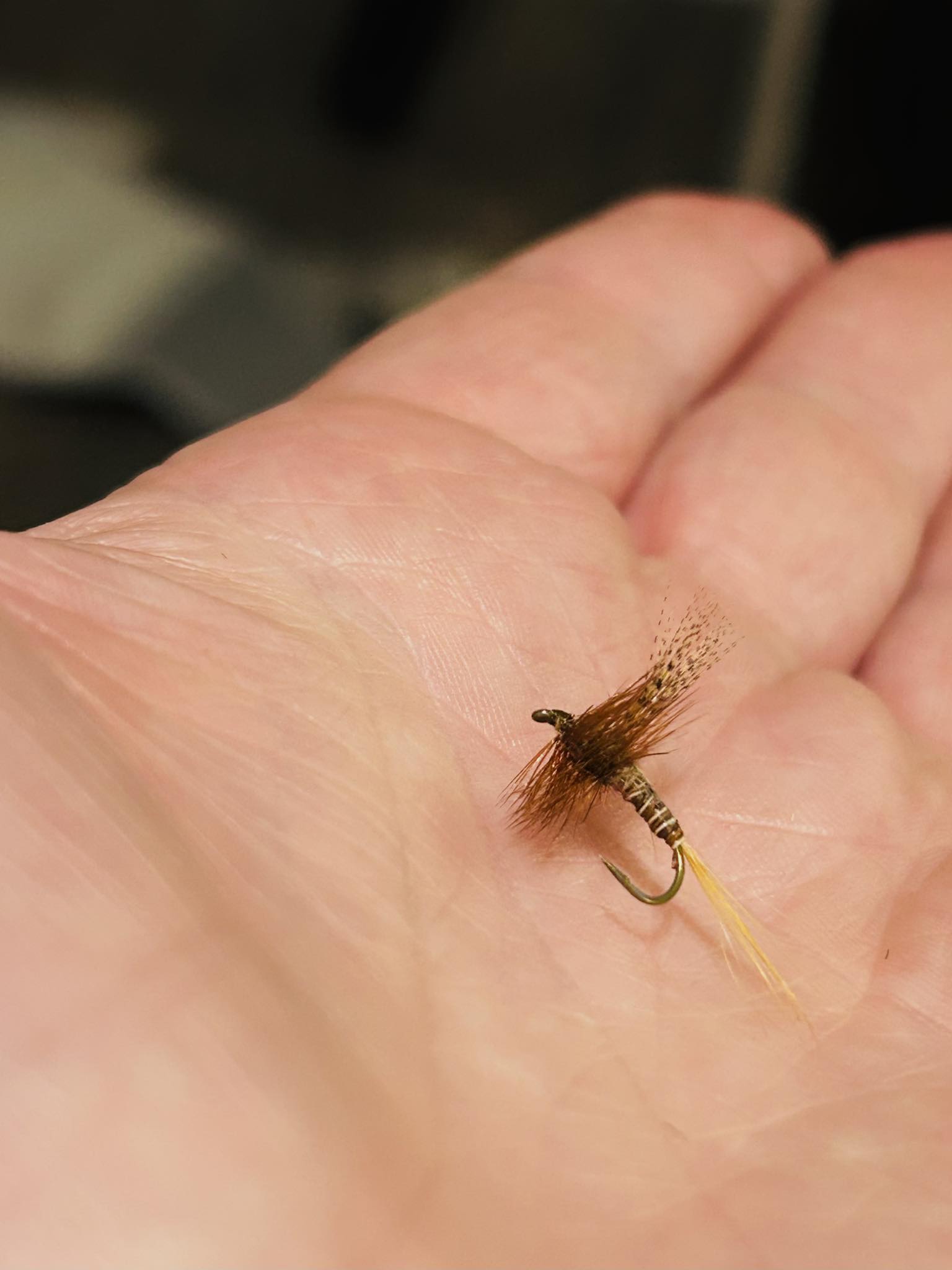 What is March Brown Limited Hidden Water fly rod?