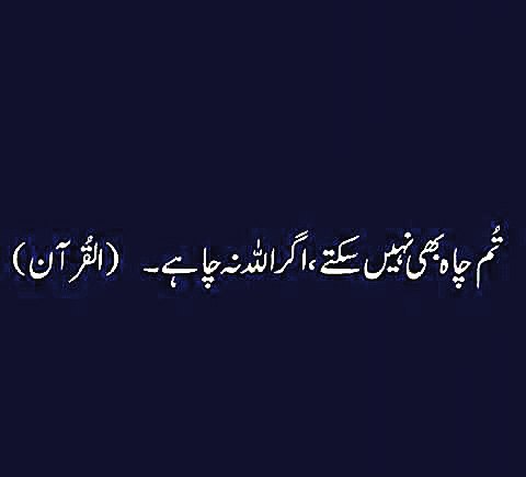Atif Wafee