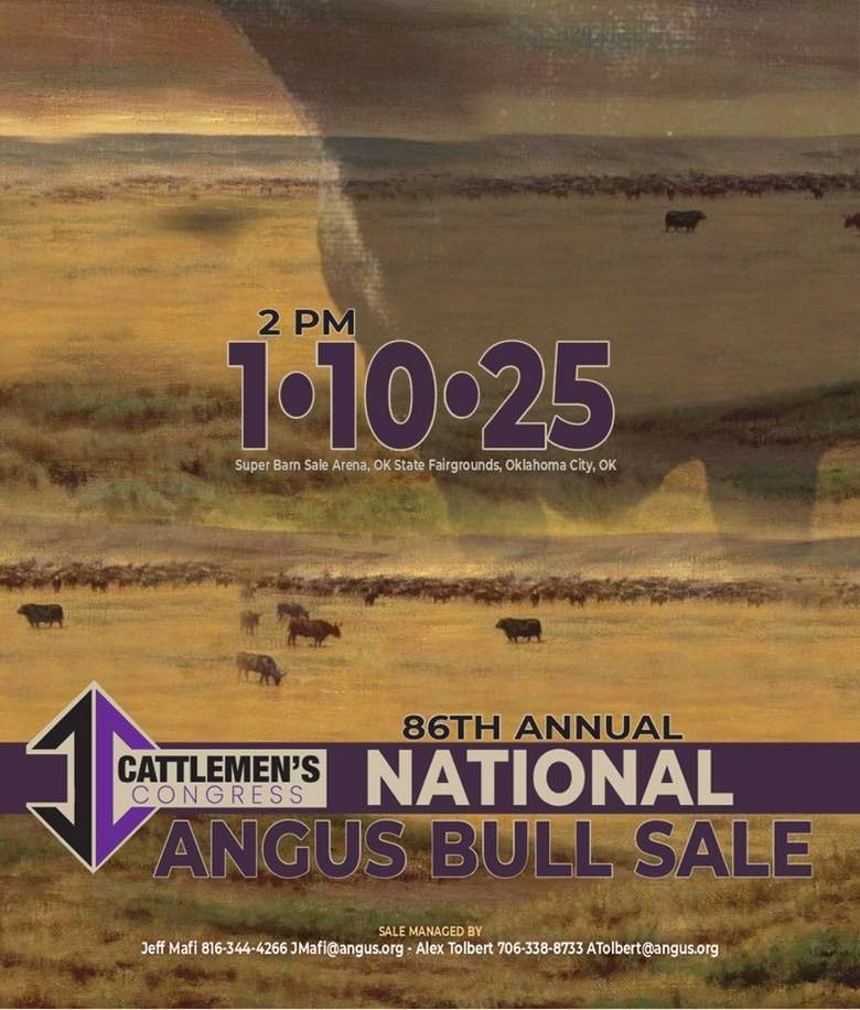 Express Ranches - >> TODAY @ 2 pm