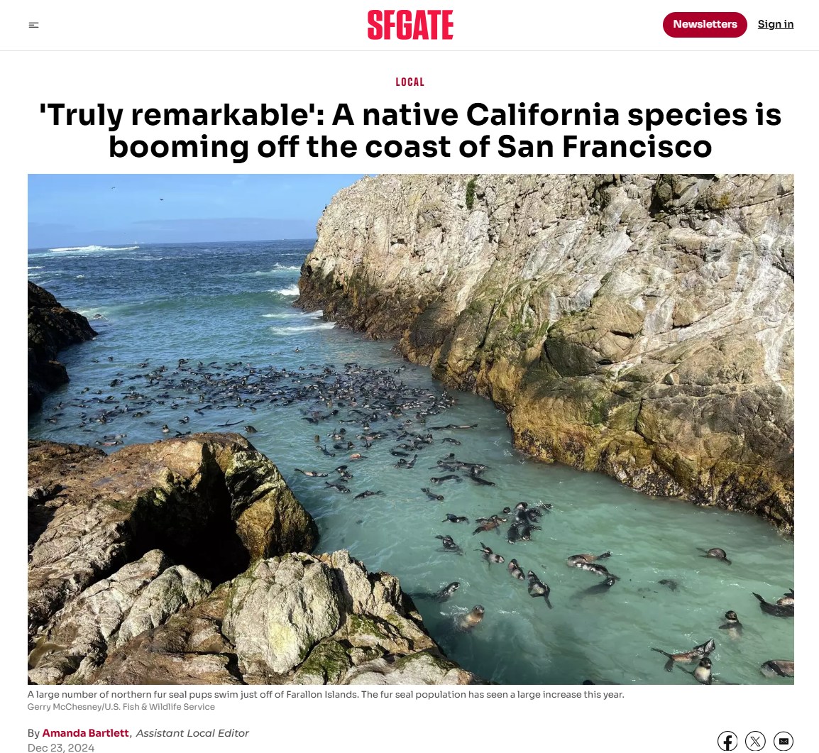 Point Blue Conservation Science - 🎄 Holiday Cheer from the Farallones ...