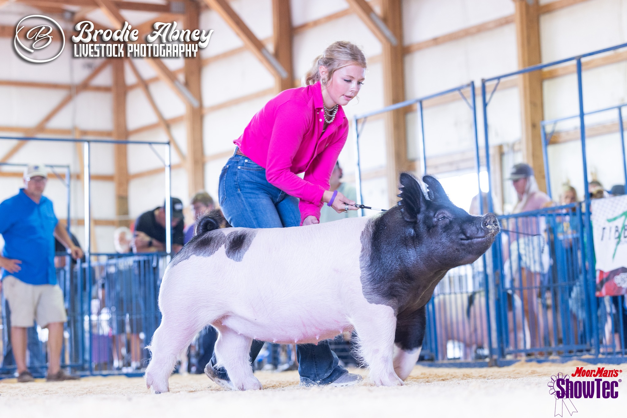 Wisconsin Show Pig... - Wisconsin Show Pig Association