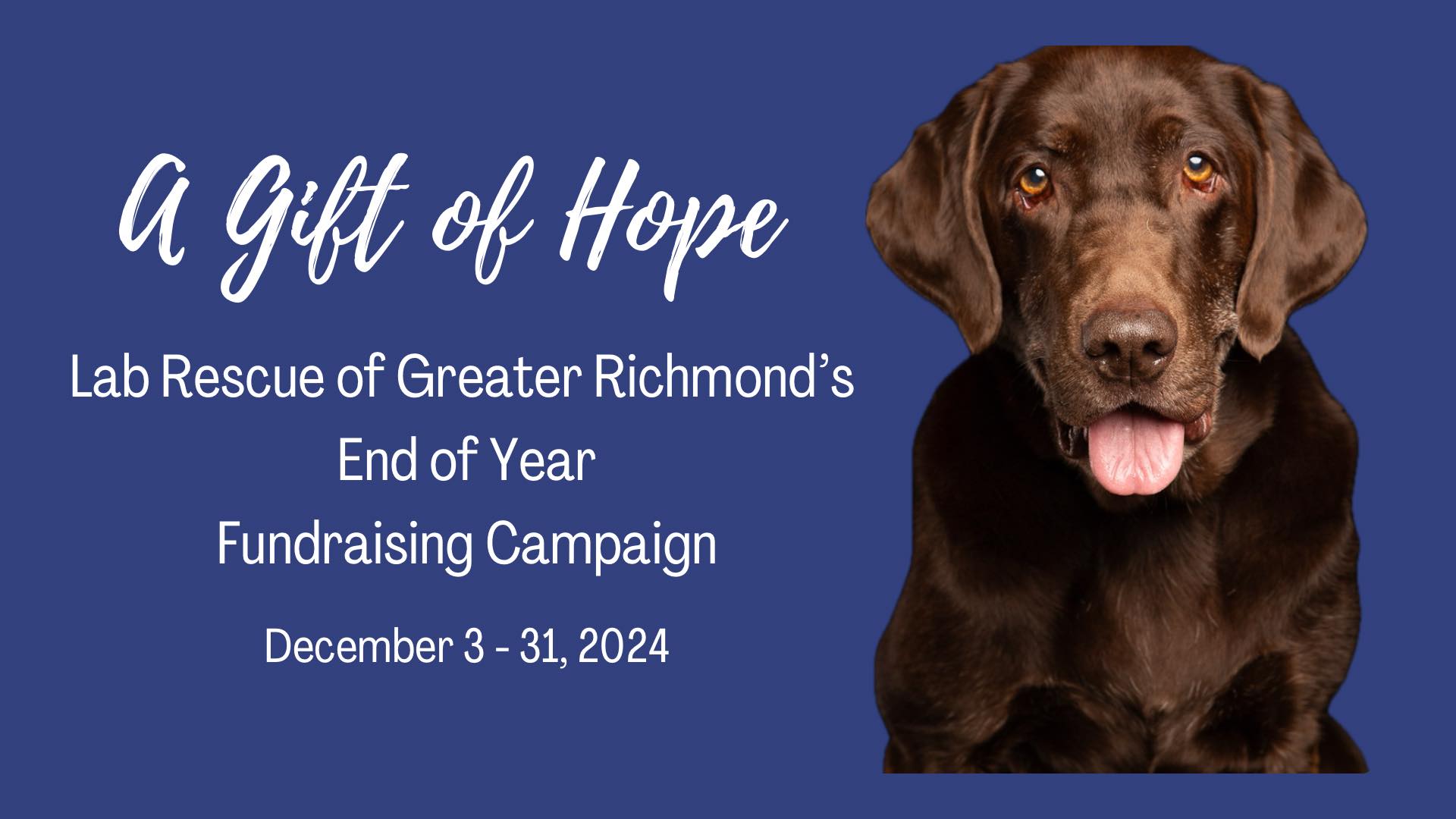 Lab Rescue of Greater Richmond - 🐾 Securely give online by credit or ...