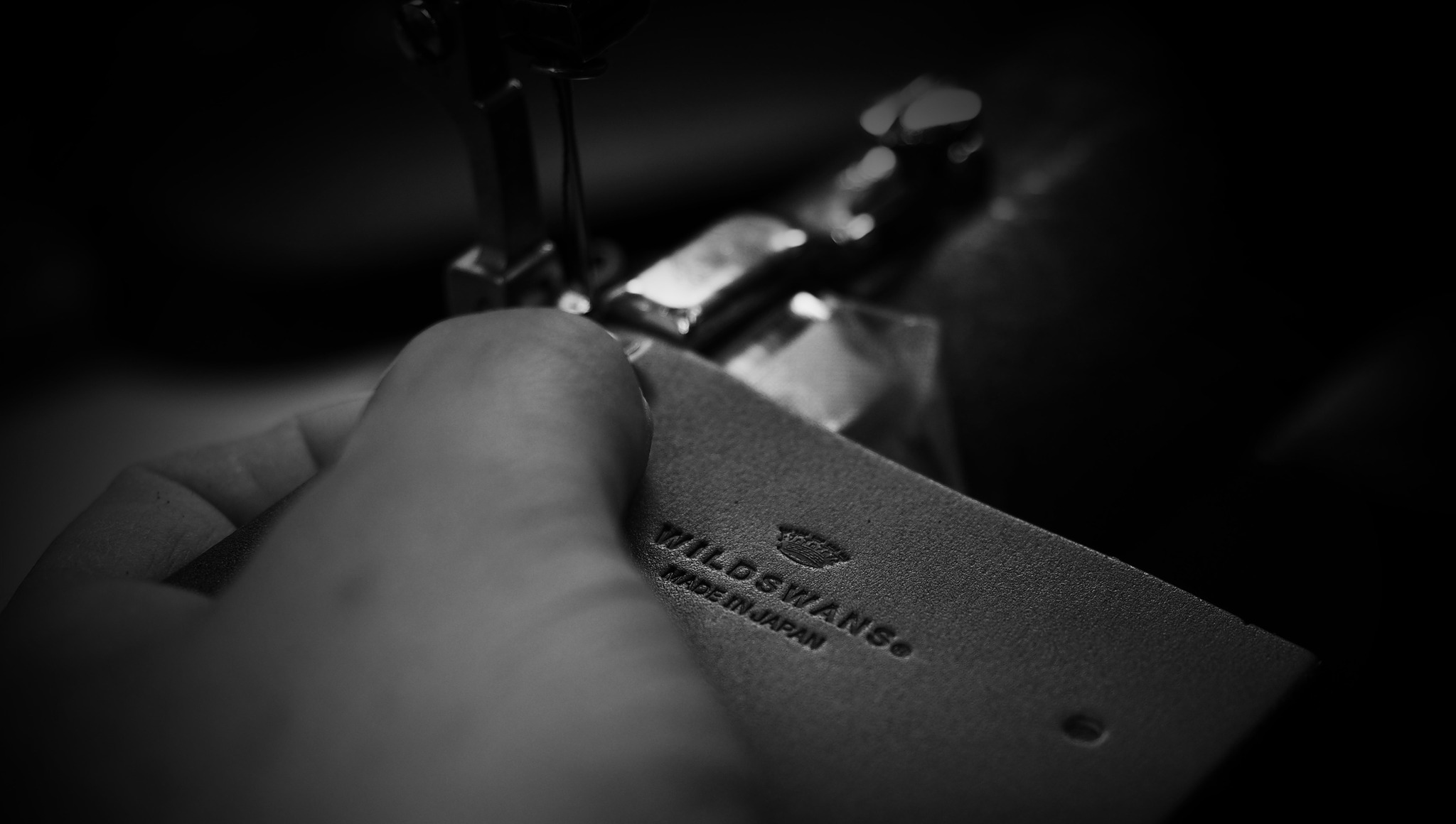 WILDSWANS C.O.U. GINZA 11th PALM