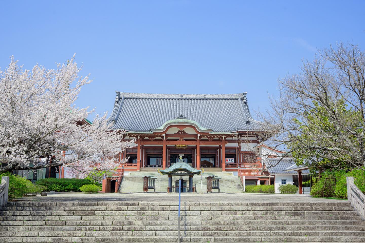 一 畑山 薬師寺