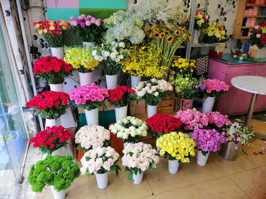 Shop Hoa Tươi Cam Ranh Khánh Hòa | Khanh Hoa