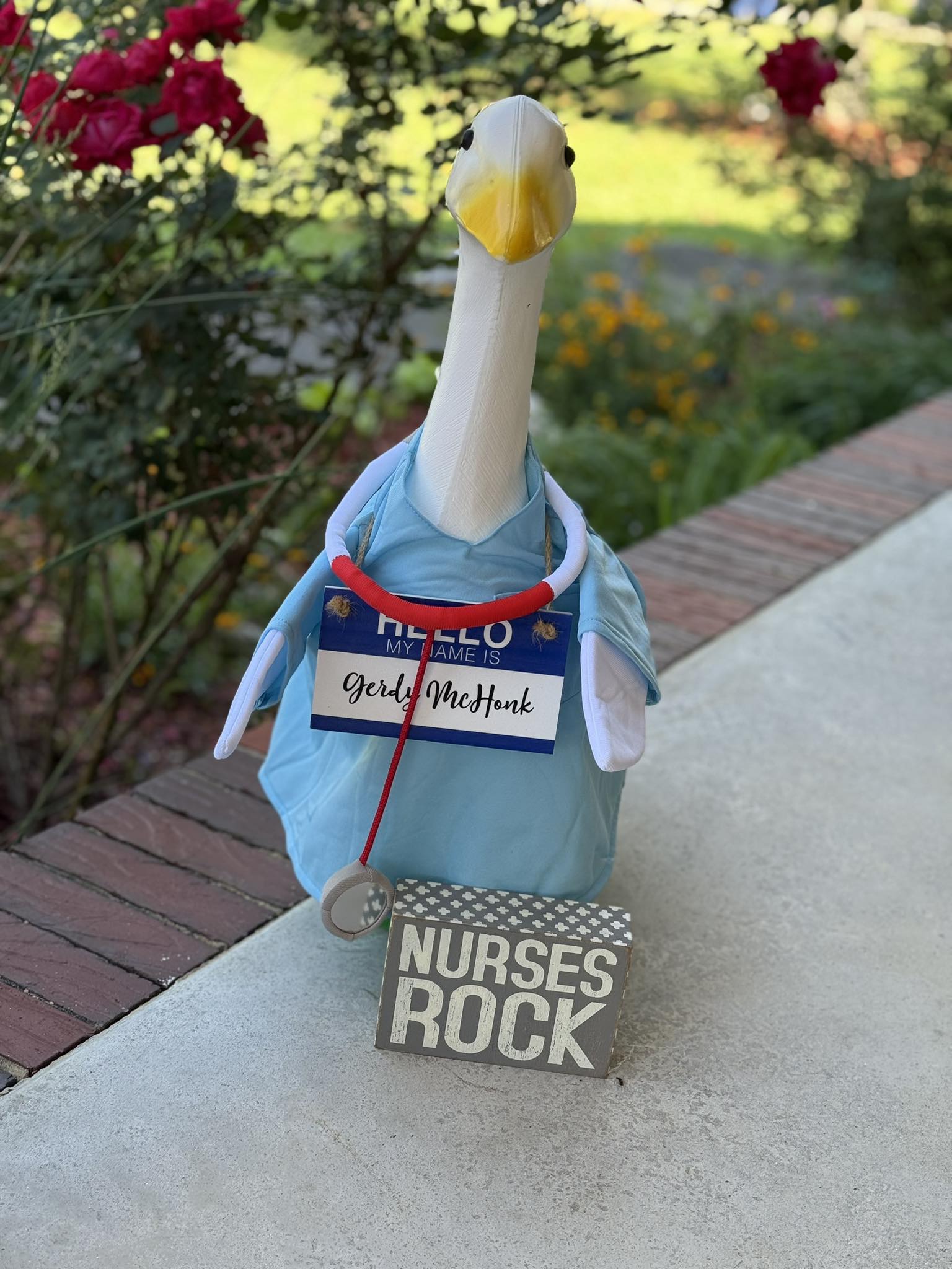 The Porch Goose Club of America | Gerdy says Happy Nurses Week to all ...