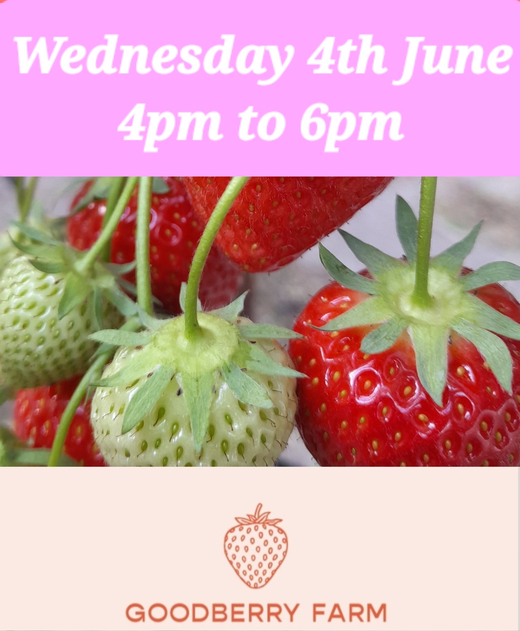 Goodberry Farm - Pick your own strawberries WEDNESDAY 4th... | Facebook