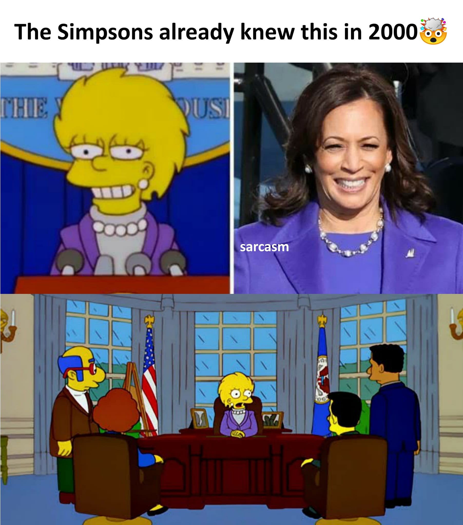 Sarcasm - The 17th episode of the 11th season of The Simpsons shows ...