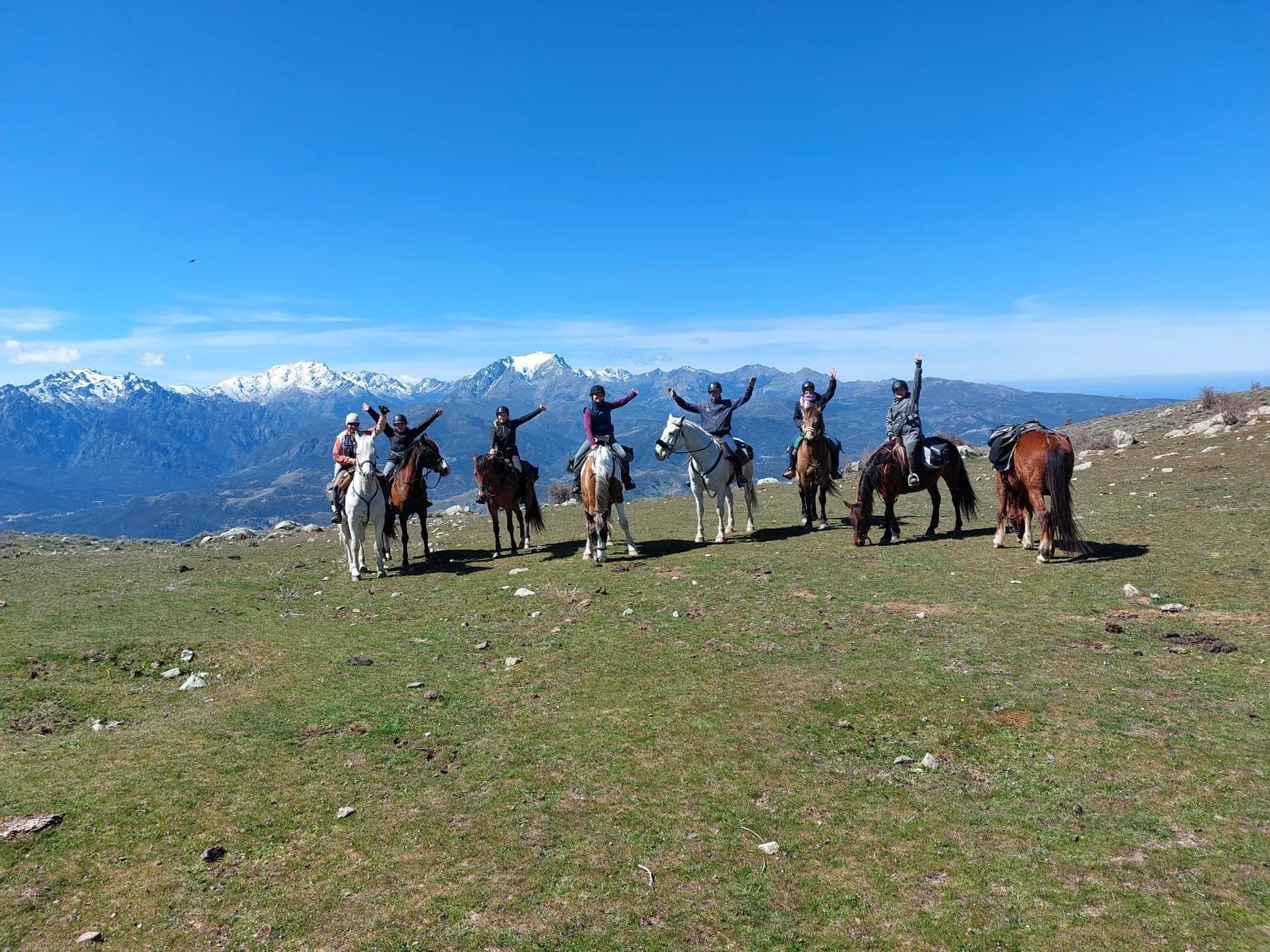 Sellerie Cheval Vert added a new... - Sellerie Cheval Vert