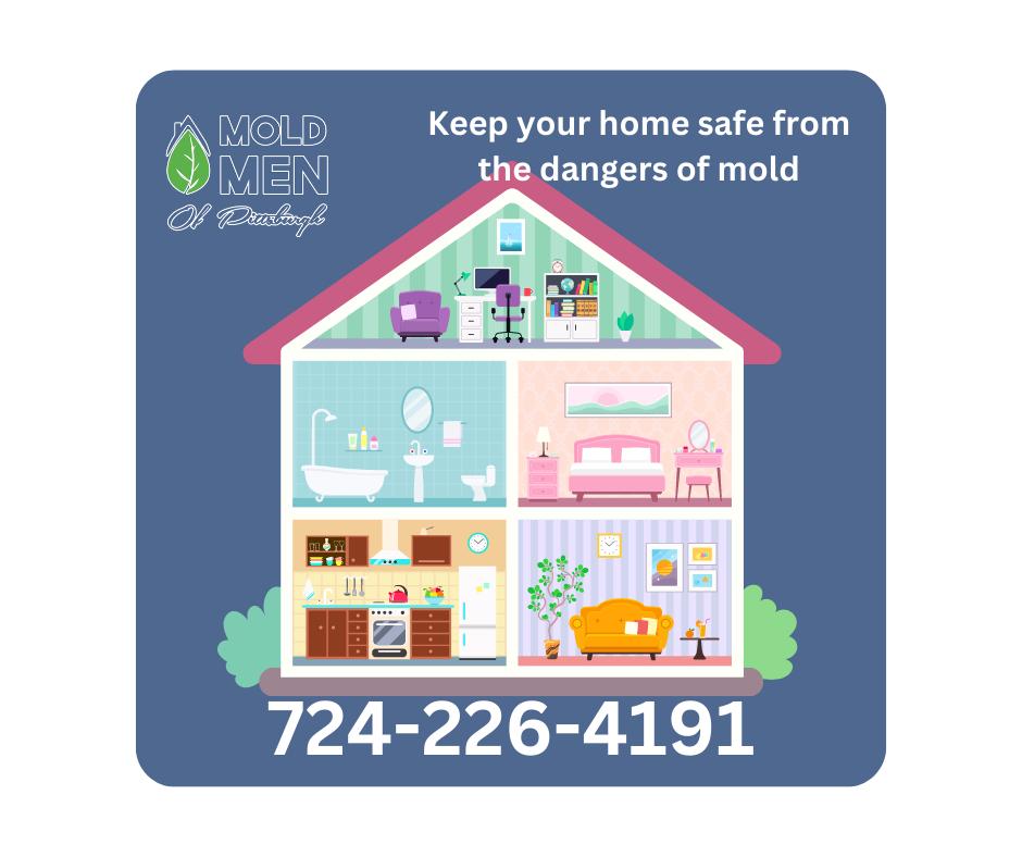 At Mold Men of Pittsburgh we... - Mold Men of Pittsburgh