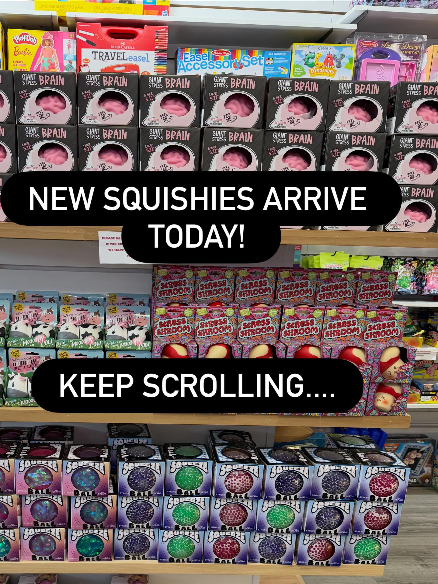 Loaded up on new SQUISHIES..... nee product arriving daily! Stop in and grab your favorite.. Hoping to have them available online tomorrow. Thank you for your support! #shopsmall #charlotte #fidgettoys #fidgets