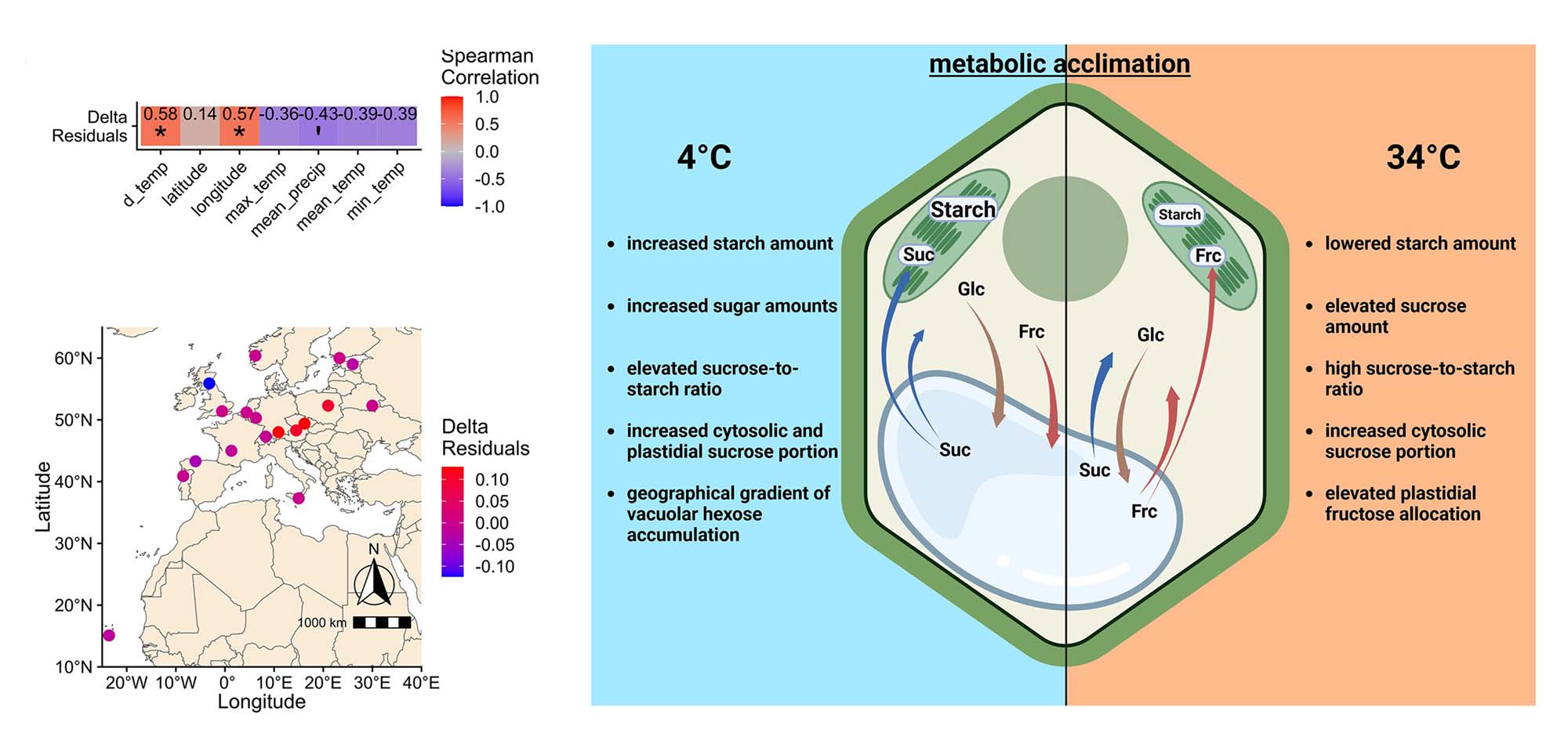 Physiologia - 🌡️Acclimation is a multigenic trait by which plants ...