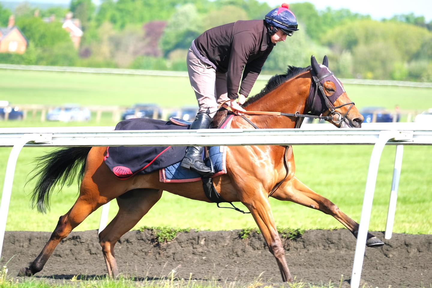 David Simcock Racing Ltd | Newmarket