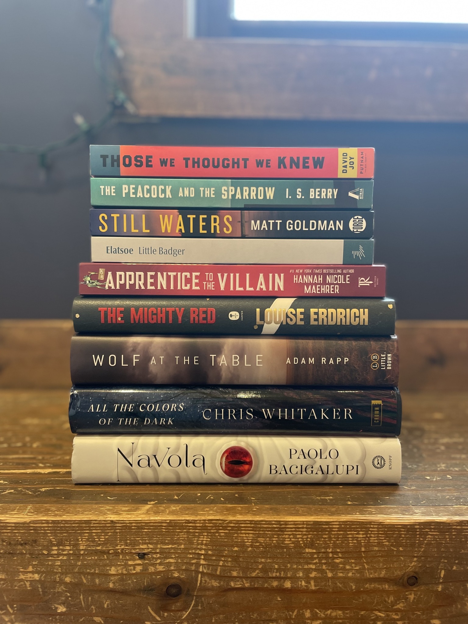 Snowbound Books | Marquette MI