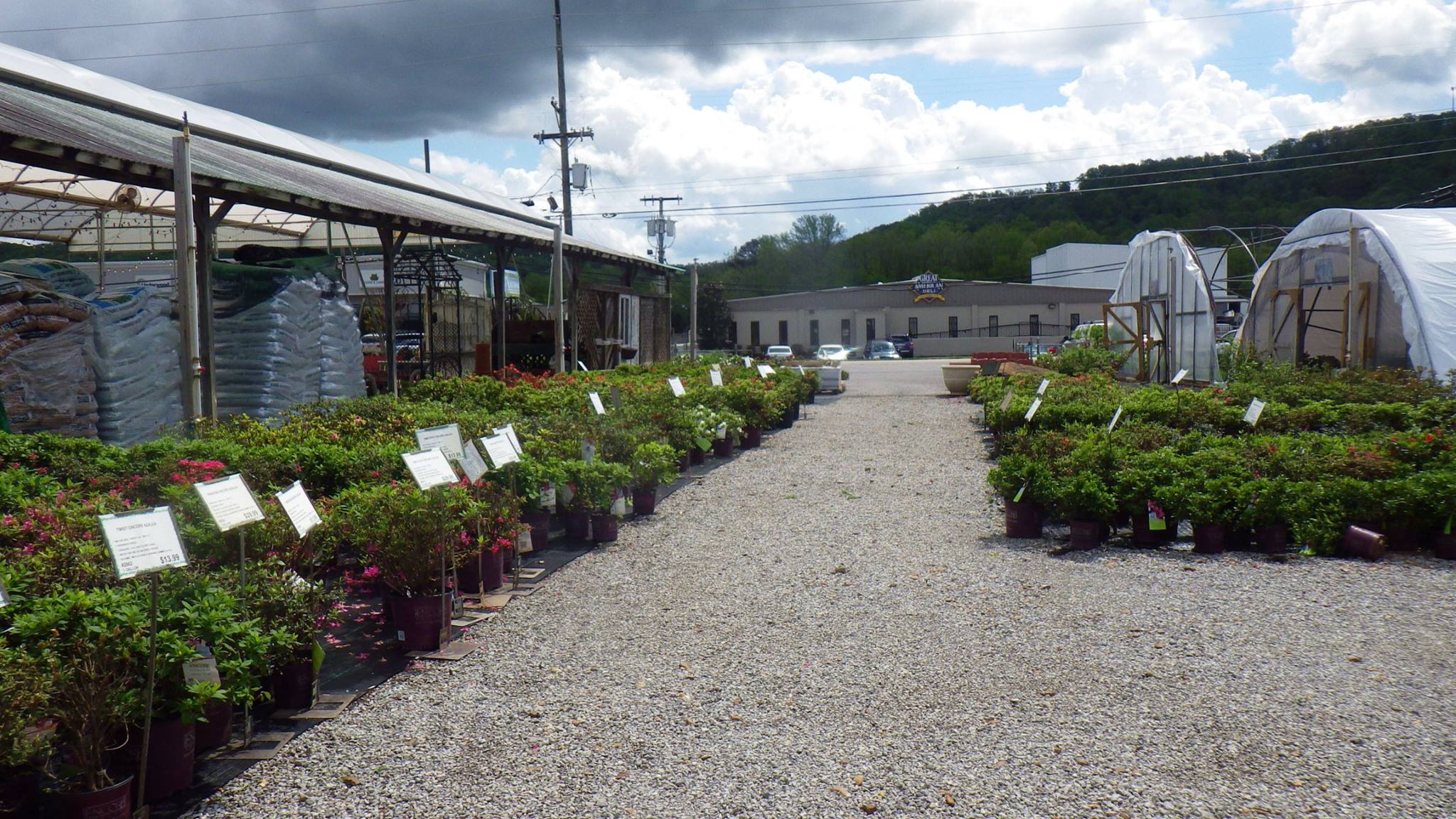 Best HD Pictures about  Ooltewah Nursery Landscape Co Inc  with No AI Images