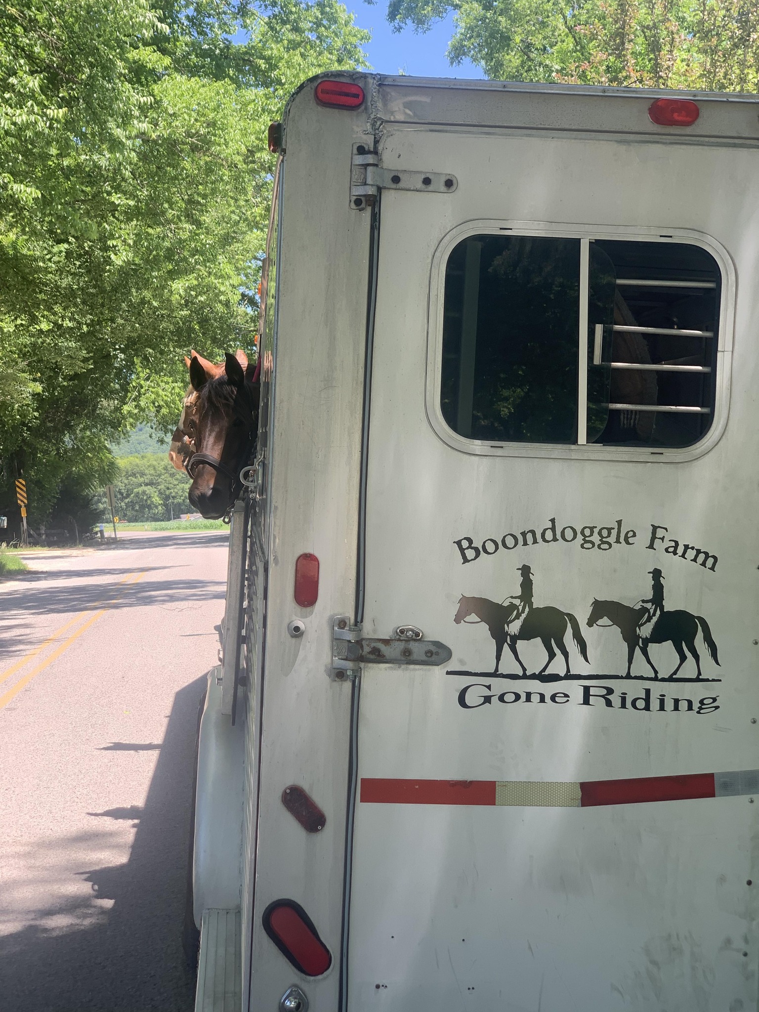 Boondoggle Farm | Stevenson AL
