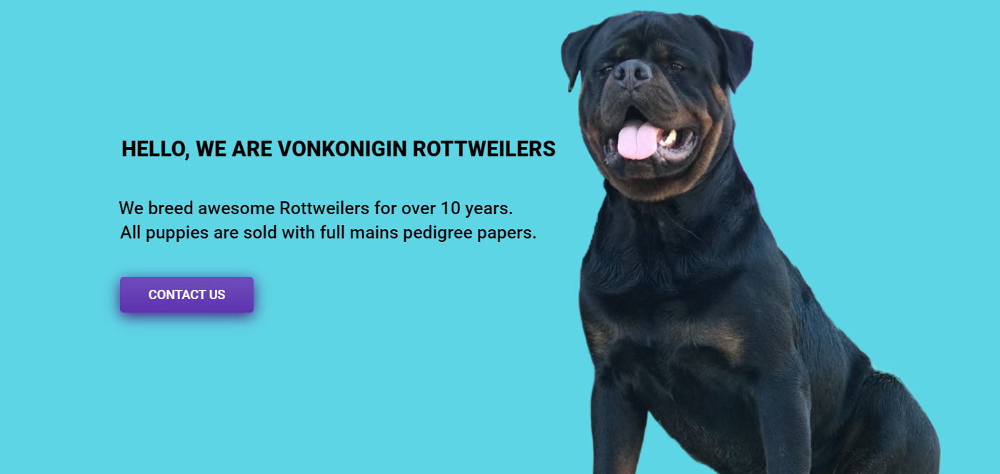 Von Konigin World Champion Rottweilers | Kyabram VIC