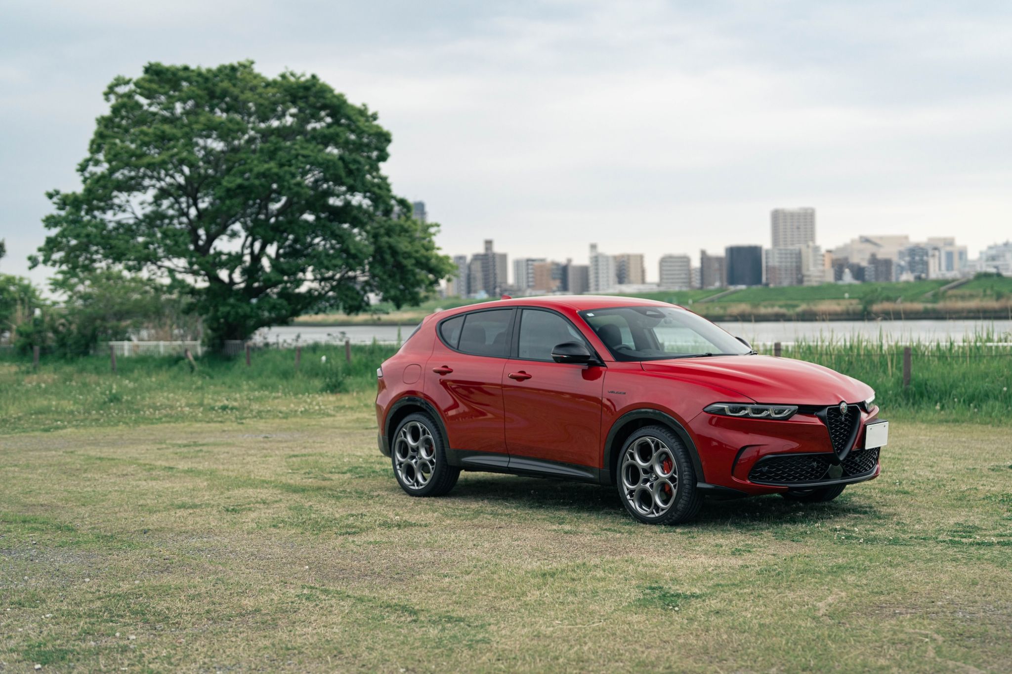 Alfa Romeo Japan / アルファ... - Alfa Romeo Japan / アルファ ロメオ ジャパン
