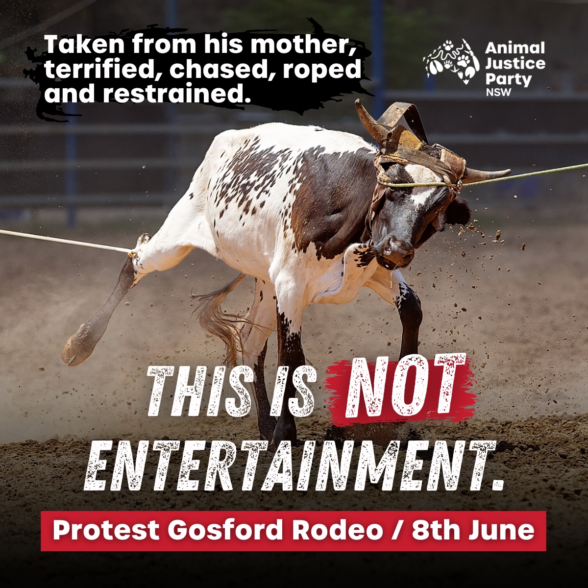 This is NOT entertainment. 🙅🚫... - Animal Justice Party NSW