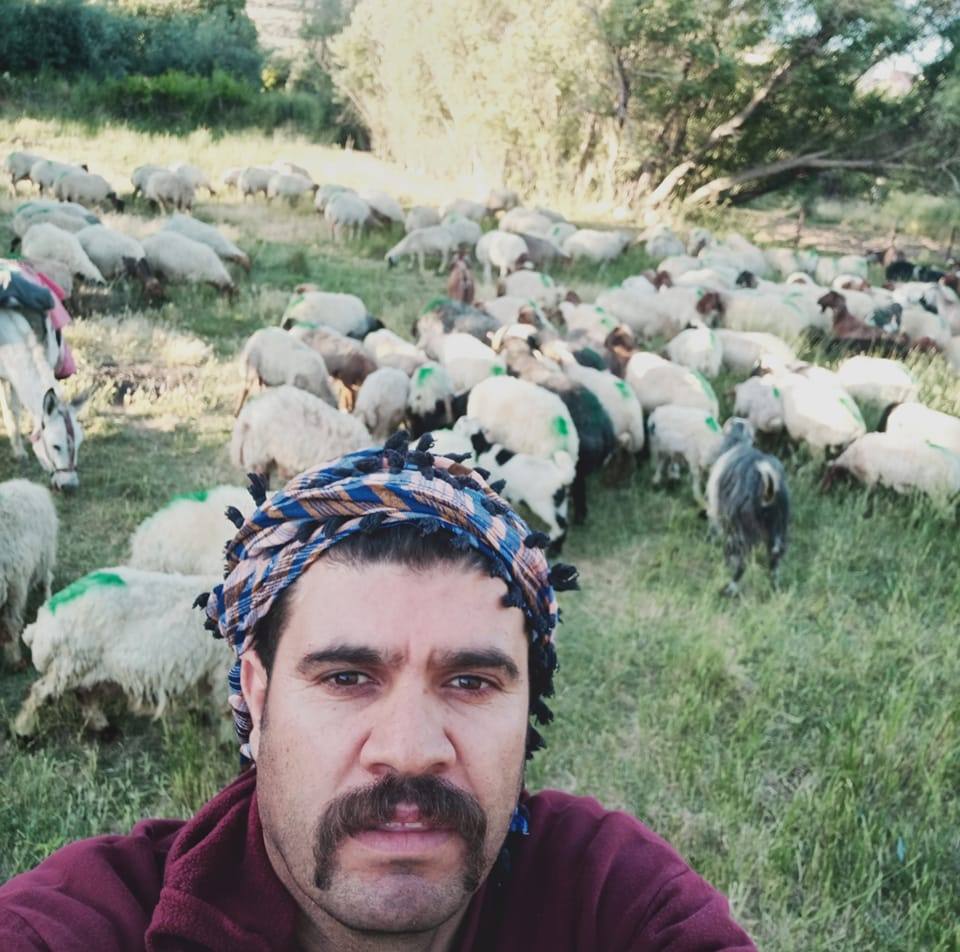 الشيخ عوض النعيمات