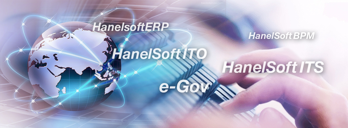 Hanel Software Solutions | Hanoi