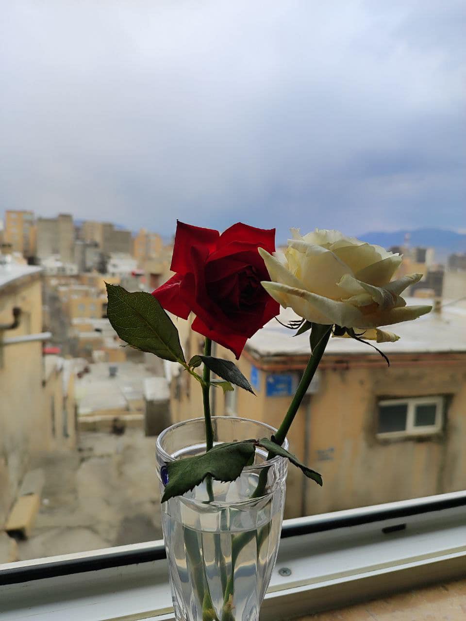 ناڵەی دڵ - که‌ی ده‌بێ وه‌ک بولبول و گوڵ دابنیشین پێکه‌وه...