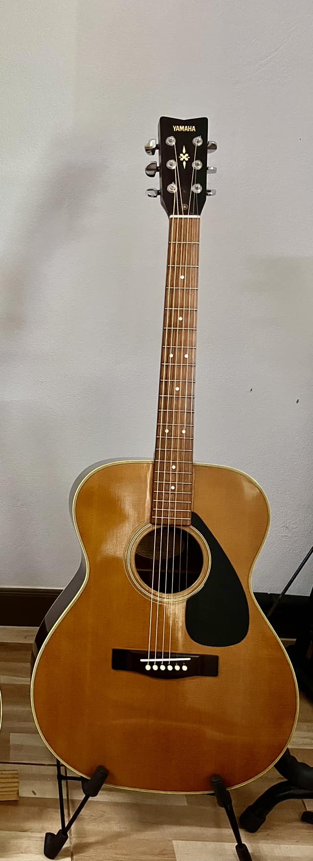 Hi. This is my guitar Yamaha s-11 .