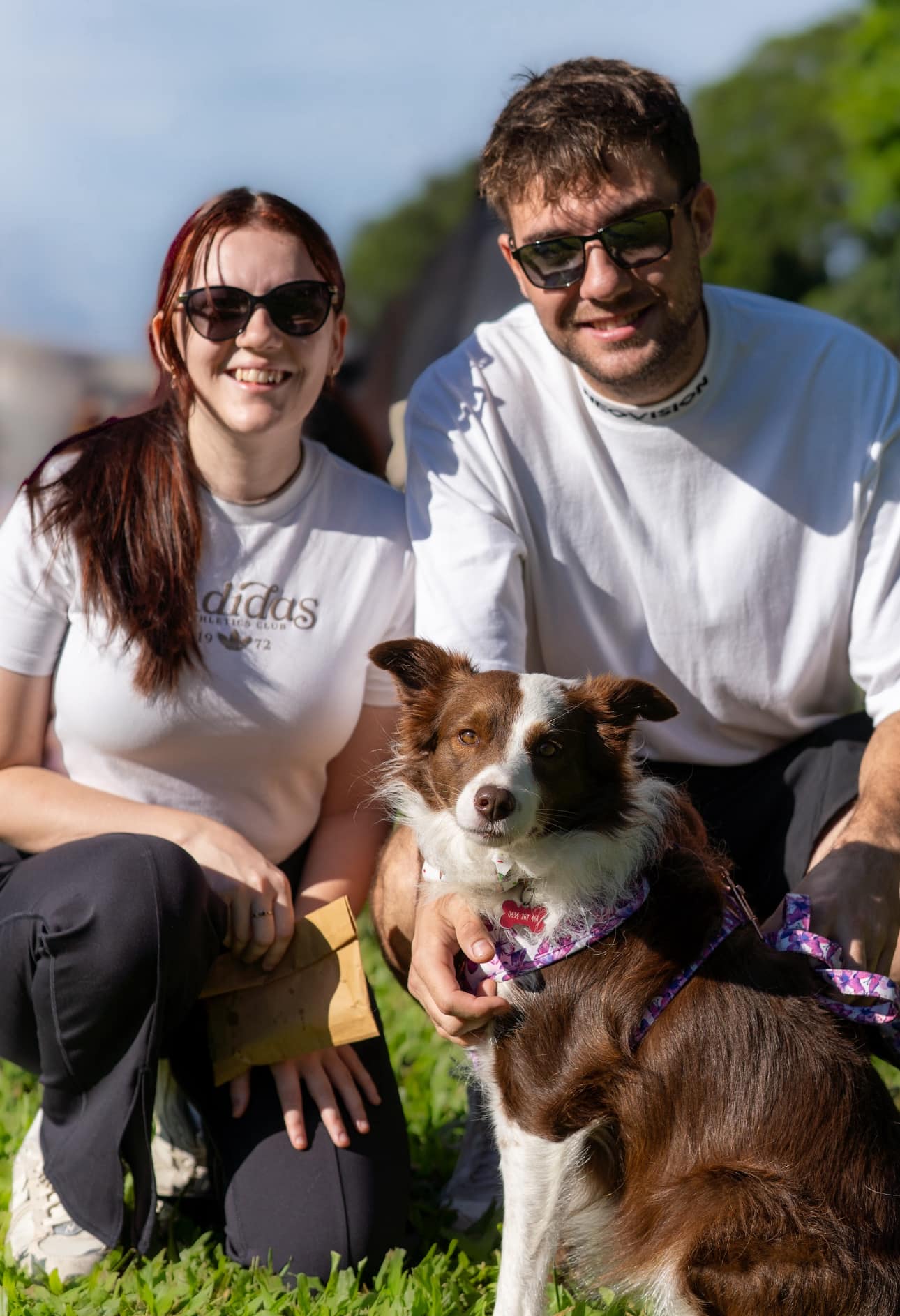RSPCA Mackay - Dog Walking/Care Volunteers Needed... You must ...