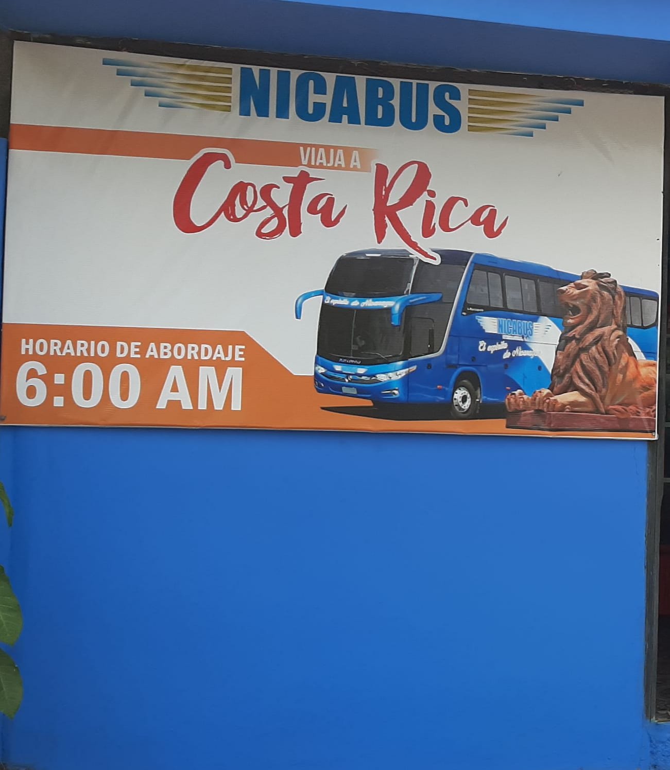 Nicabus León