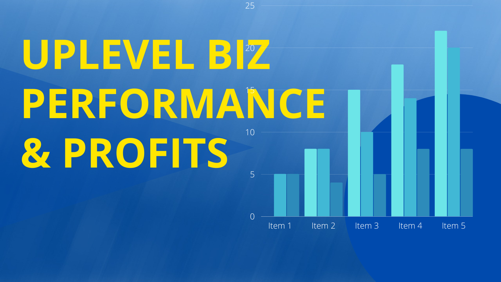 Uplevel Biz Profits & Performance